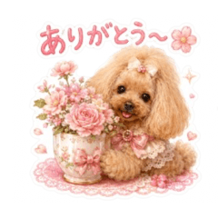 Patricia_20260605222726