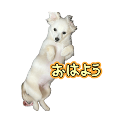 m_20260606101048