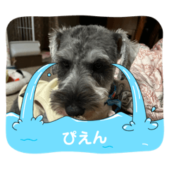 yukatan_20260606100050