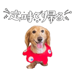 kome_20260606105114