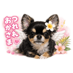 Ucha_20260606112136