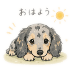 yohaku_20260606111230