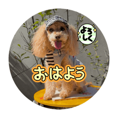 mama_20260606114143