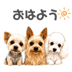 nori_20260606112242