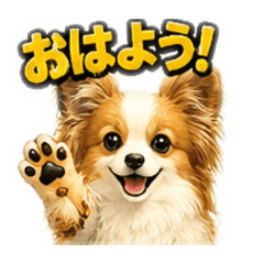 YAPPY_20260606111747