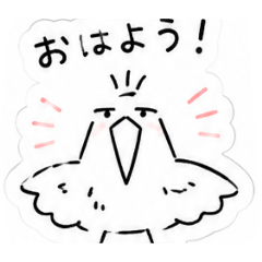 Maximum_20260606113931