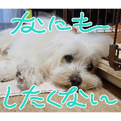 yukio_20260606122916