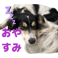Bella_20260606124724