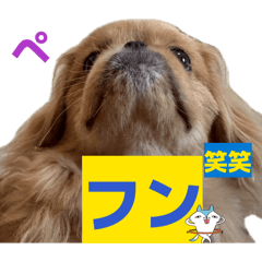 Pee_20260606124357