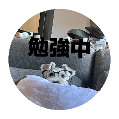 keru_20260606132720
