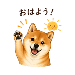 shibainu_donchan5