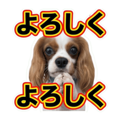 rhy_20260606133411