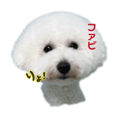 yuta_20260606134402