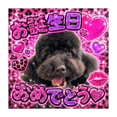himari_20260606134319
