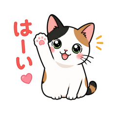 Mayu_20260606135657