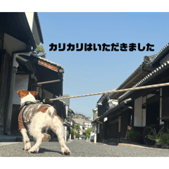 ten_20260606135610