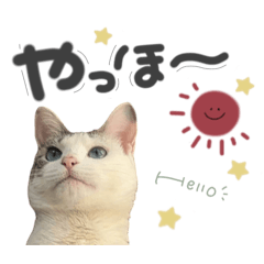toh569_20260606143533