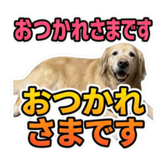 hs_hana_20260606144058