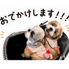 anan_20260606144338