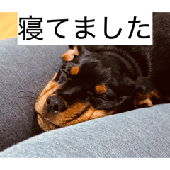 tunako_20260606150739