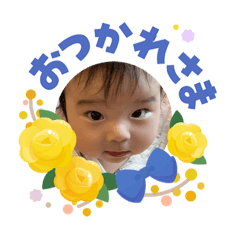 PILOCO NEKOYASHIKI_20260606150856