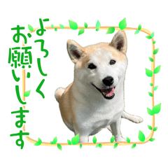 otokin_20260606151636