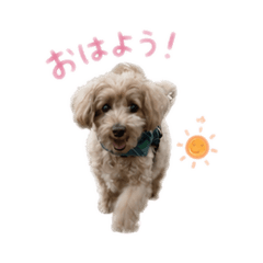NICK_20260606152906