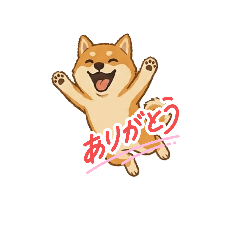 mimi_20260606153401