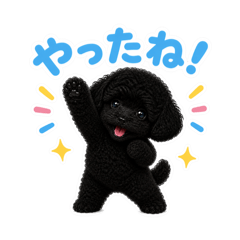 mao_20260606160911