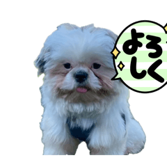 FUKAFUKA family_20260606163535
