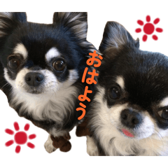 mayu_20260606161457