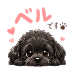 pink_20260606165844