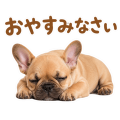 mao_20260606165530