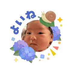 yoshi_20260606173044