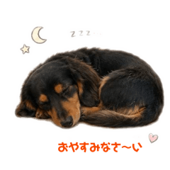 Ryoko_20260606174325