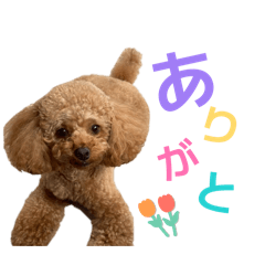 azuki_20260606205738