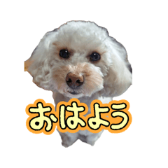 Sachi61_20260606210448