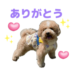 yui_20260606214851
