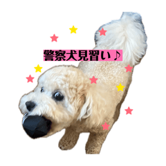 Suzu_wankoromochi