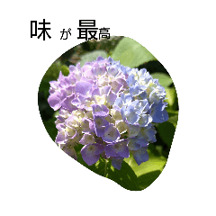 osamu_20260606215821