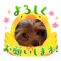 VIVI_20260606215138