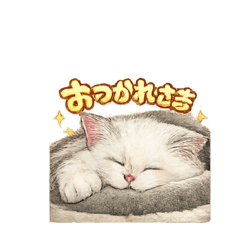 syuri_20260606221354