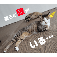 runa_20260606222149