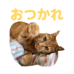 nagi_20260606222115