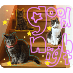 kiri_20260606222204
