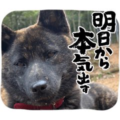 memen_20260606223342