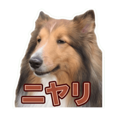 nokaze_20260606223759