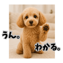 YUZUKABO_20260606223344