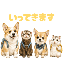 sachi_20260606223314