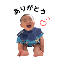 miso_20260606224151